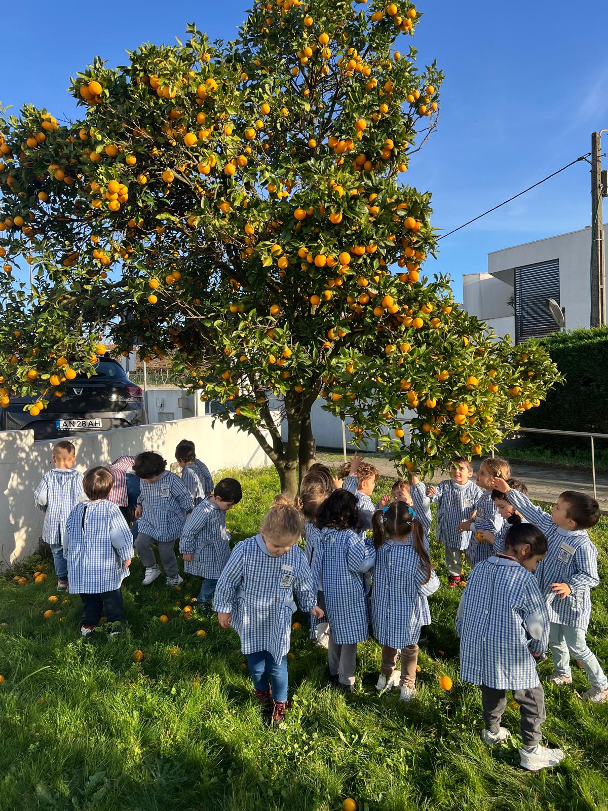 coracao verde 4