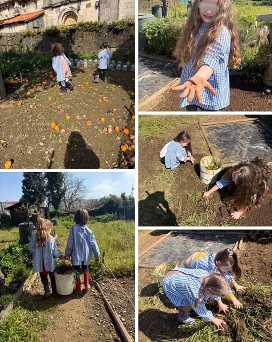 dia agricultura 2025 1