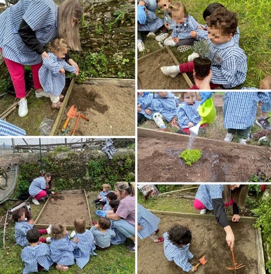 dia agricultura 2025 2